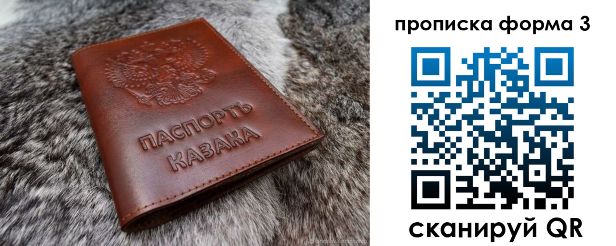 временная прописка в Тимашёвске